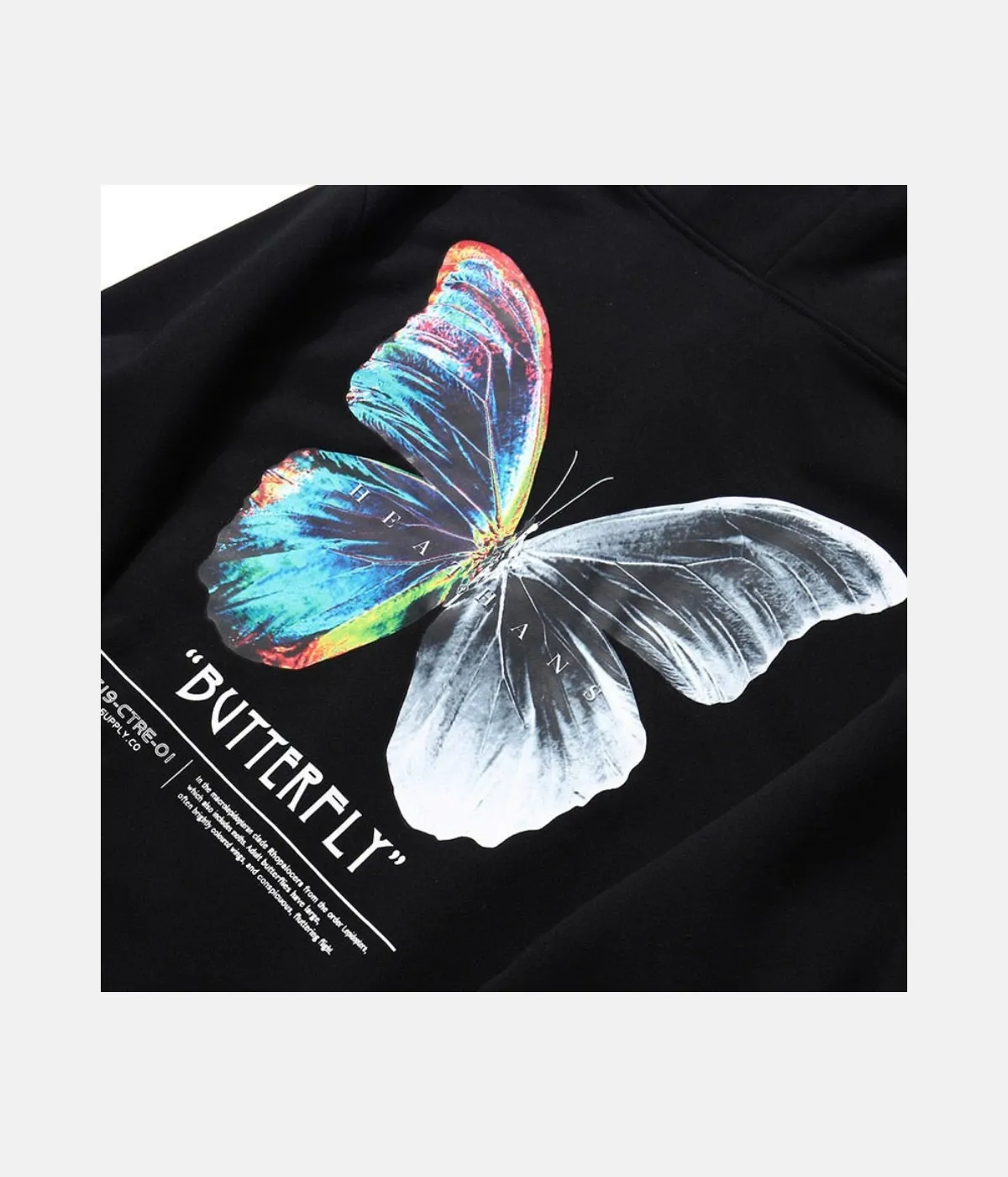 COLORFLY HOODIE