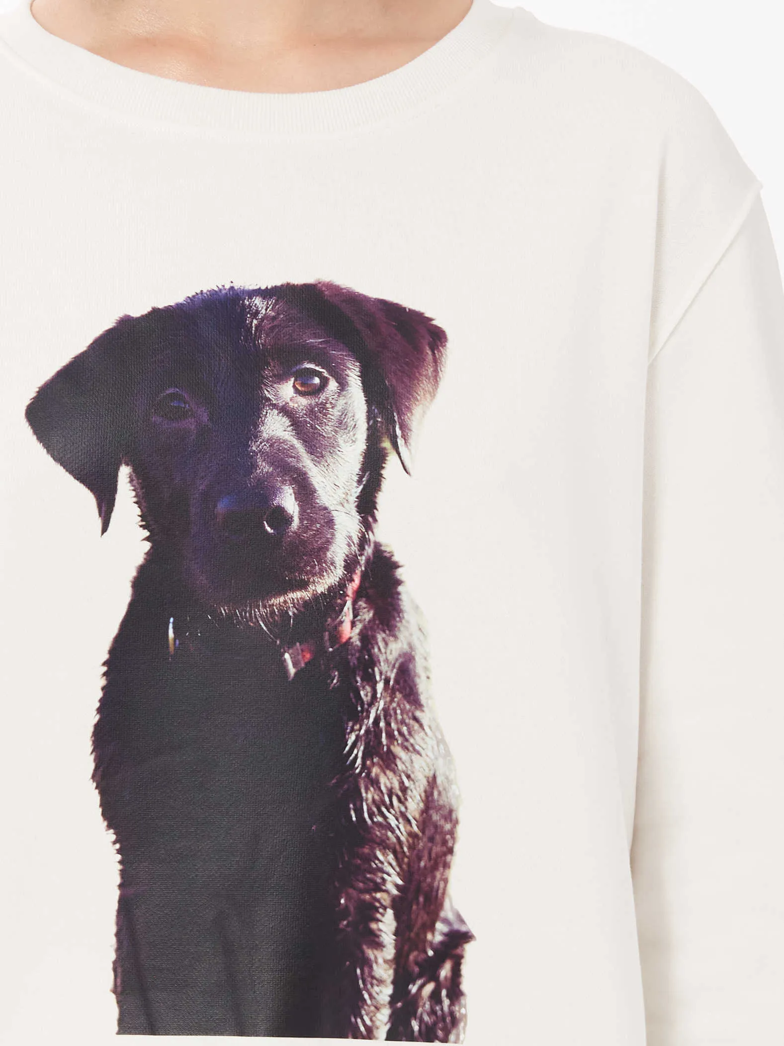 Labrador Puppy PrintUnisexSweatshirt in White