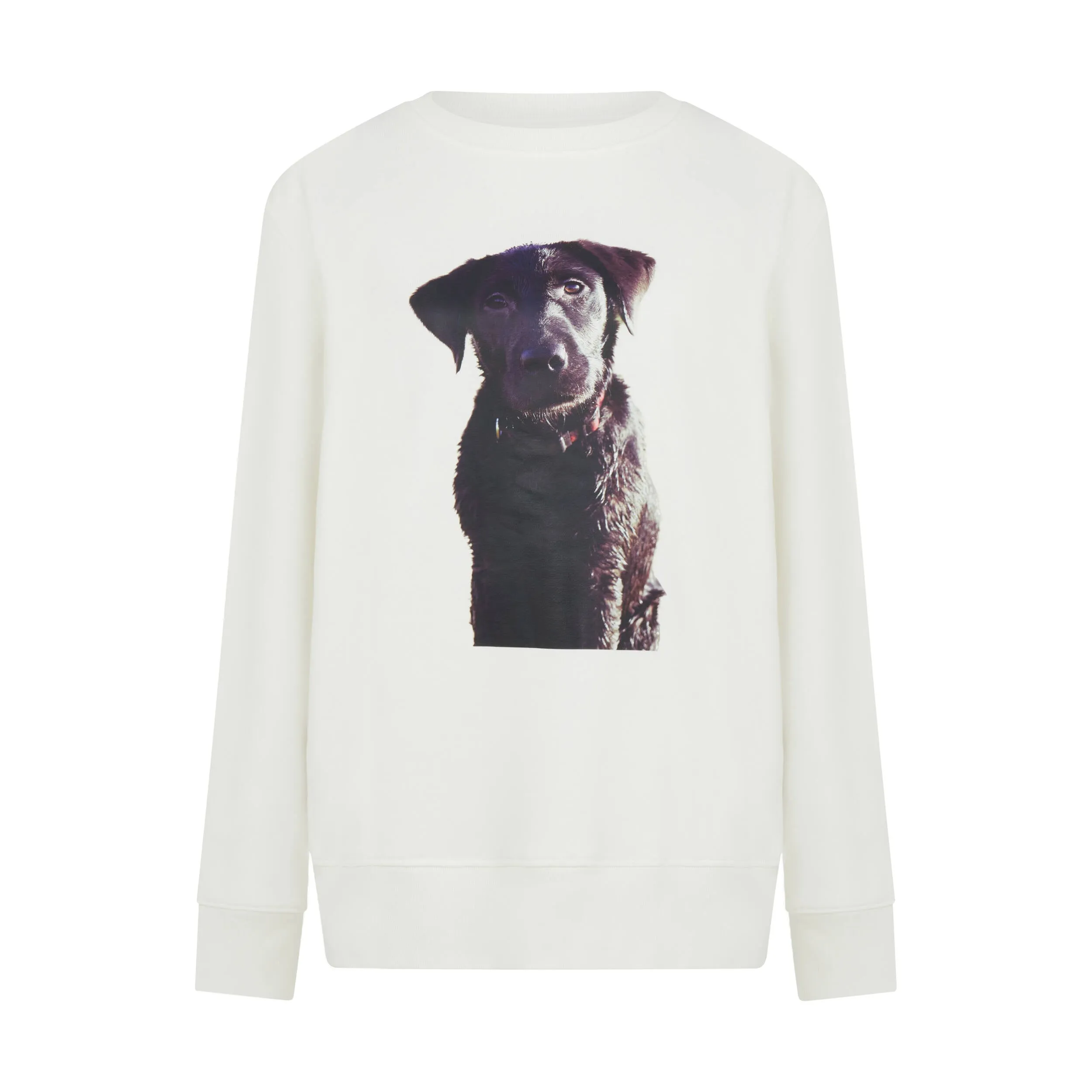 Labrador Puppy PrintUnisexSweatshirt in White