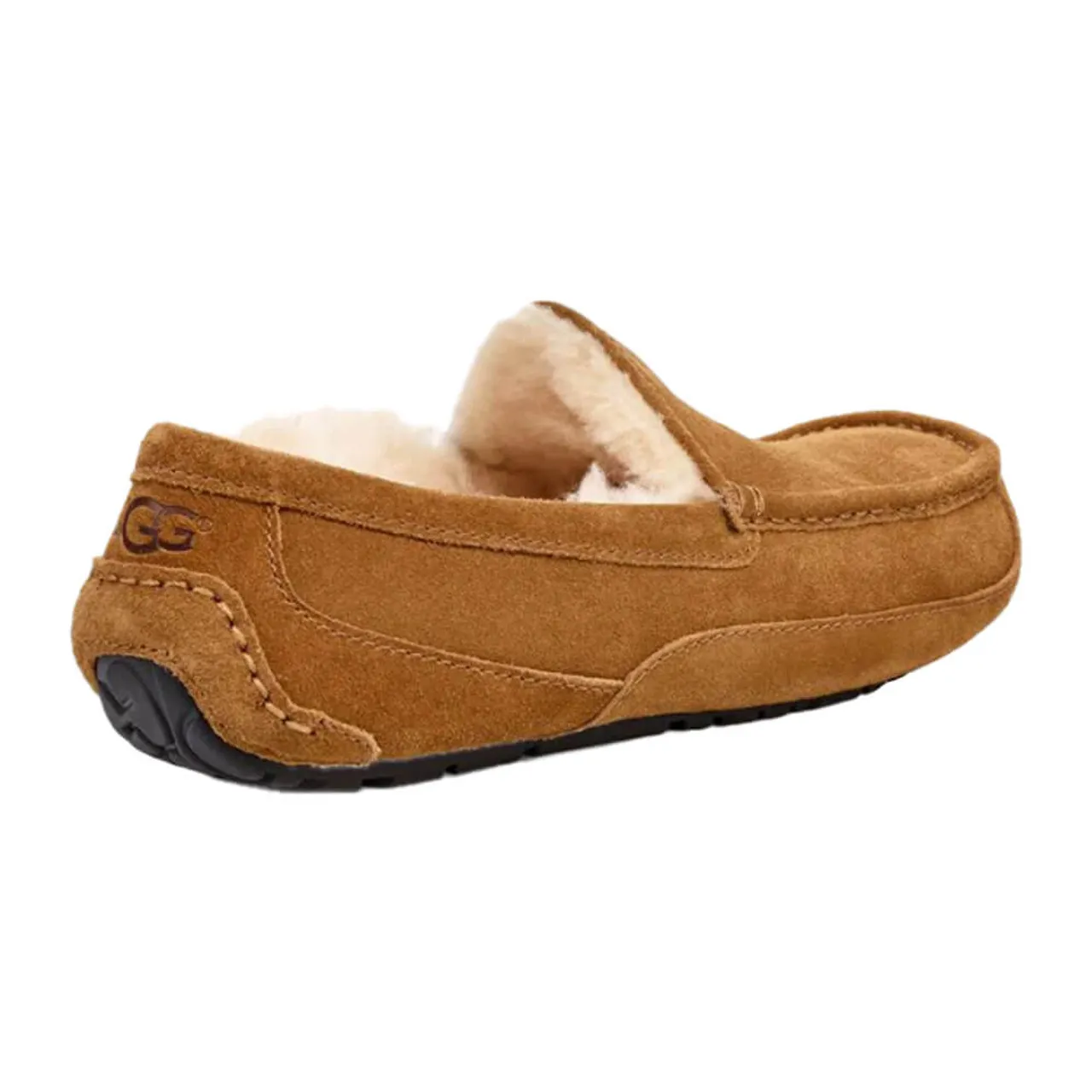 Men's UGG Ascot Slipper