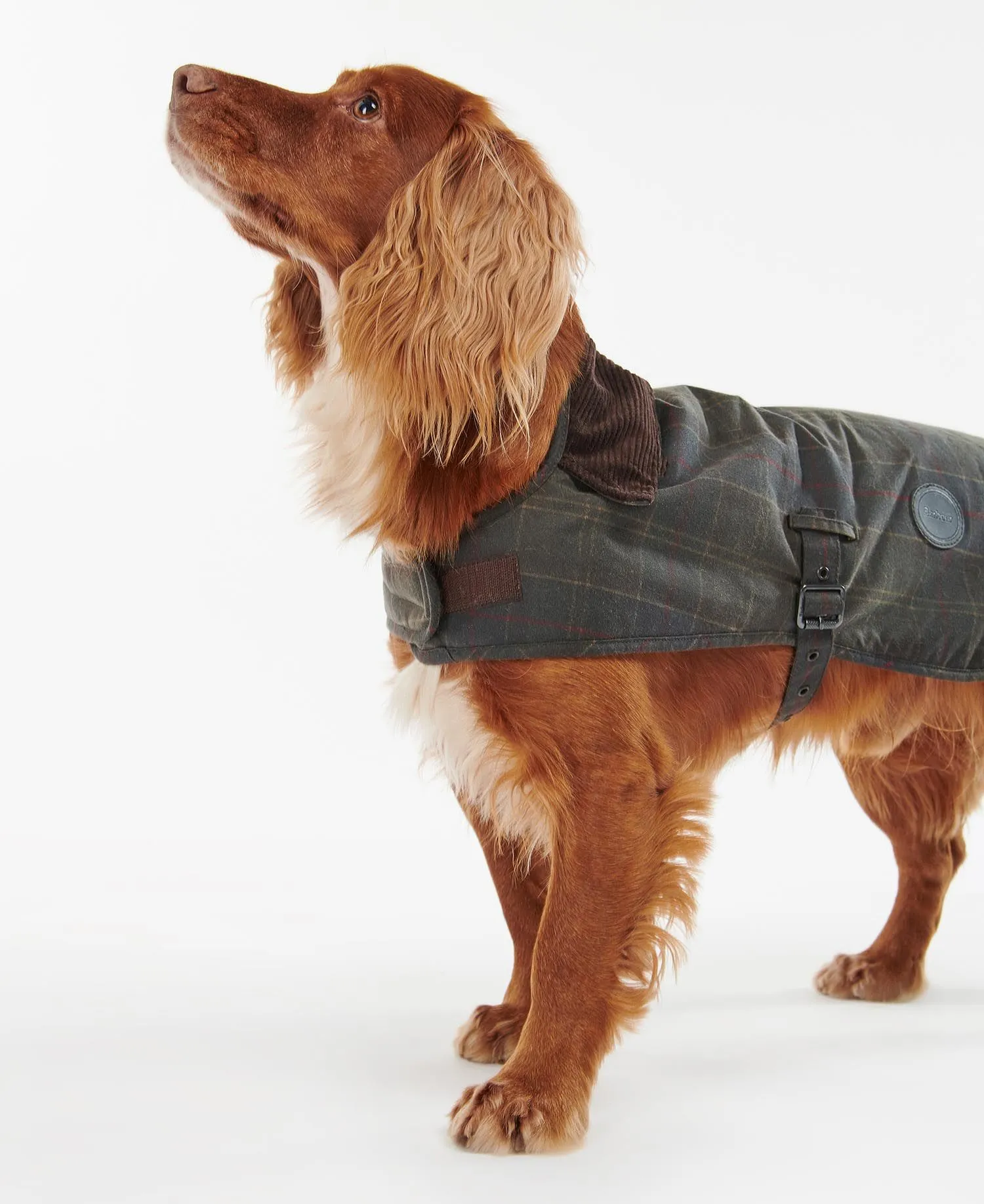  Tartan Wax Dog Coat     