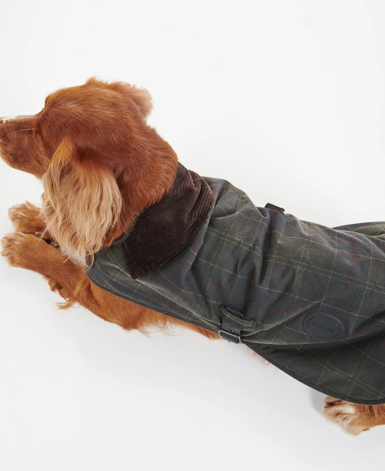  Tartan Wax Dog Coat     