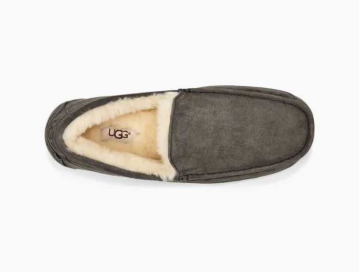 UGG Men's Ascot Slipper